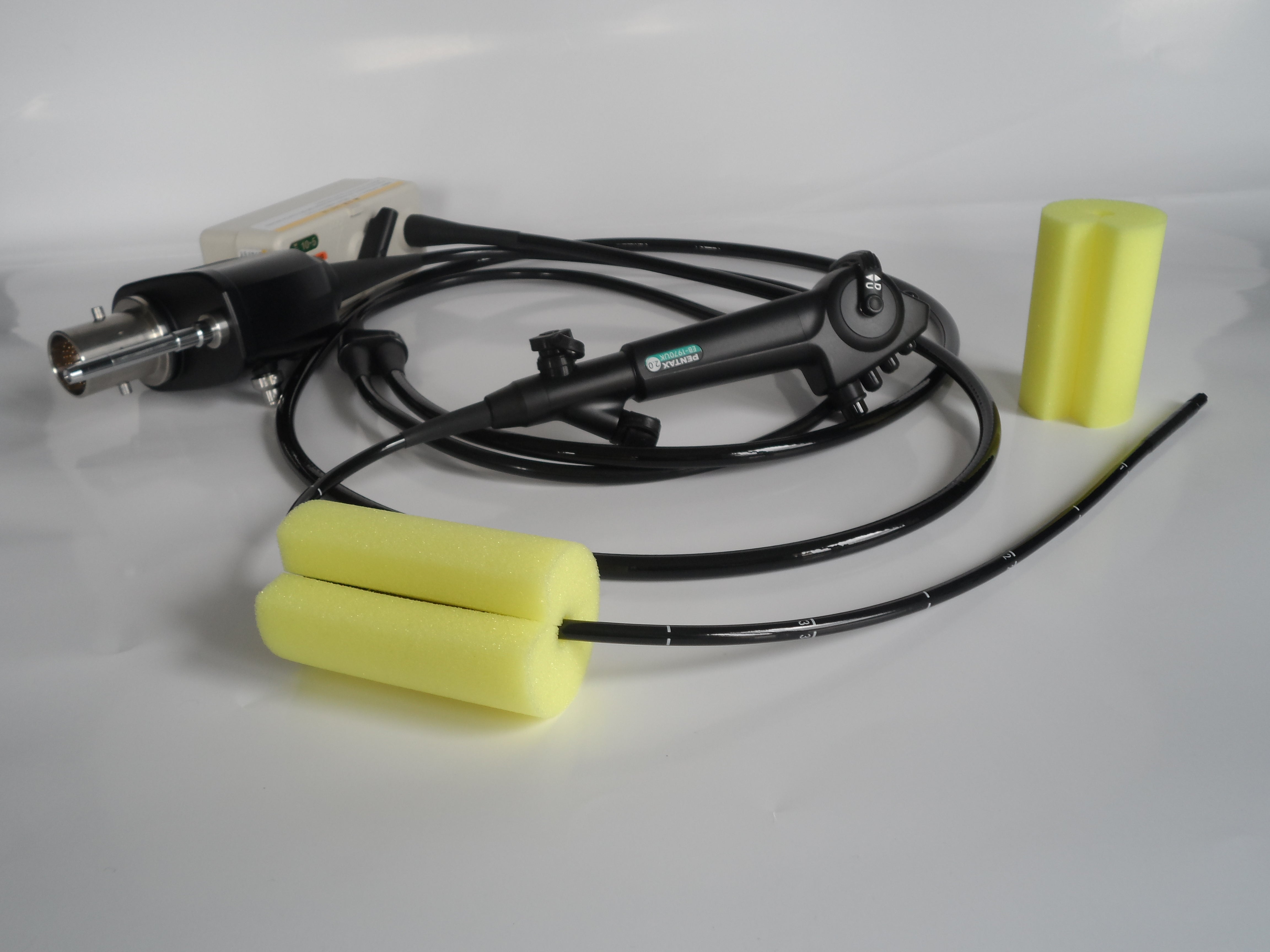Esponja Endo Clean